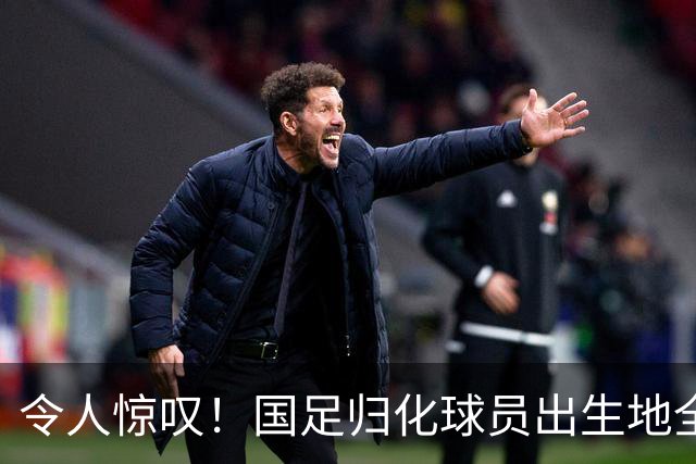 令人惊叹！国足归化球员出生地全进入世界杯16强